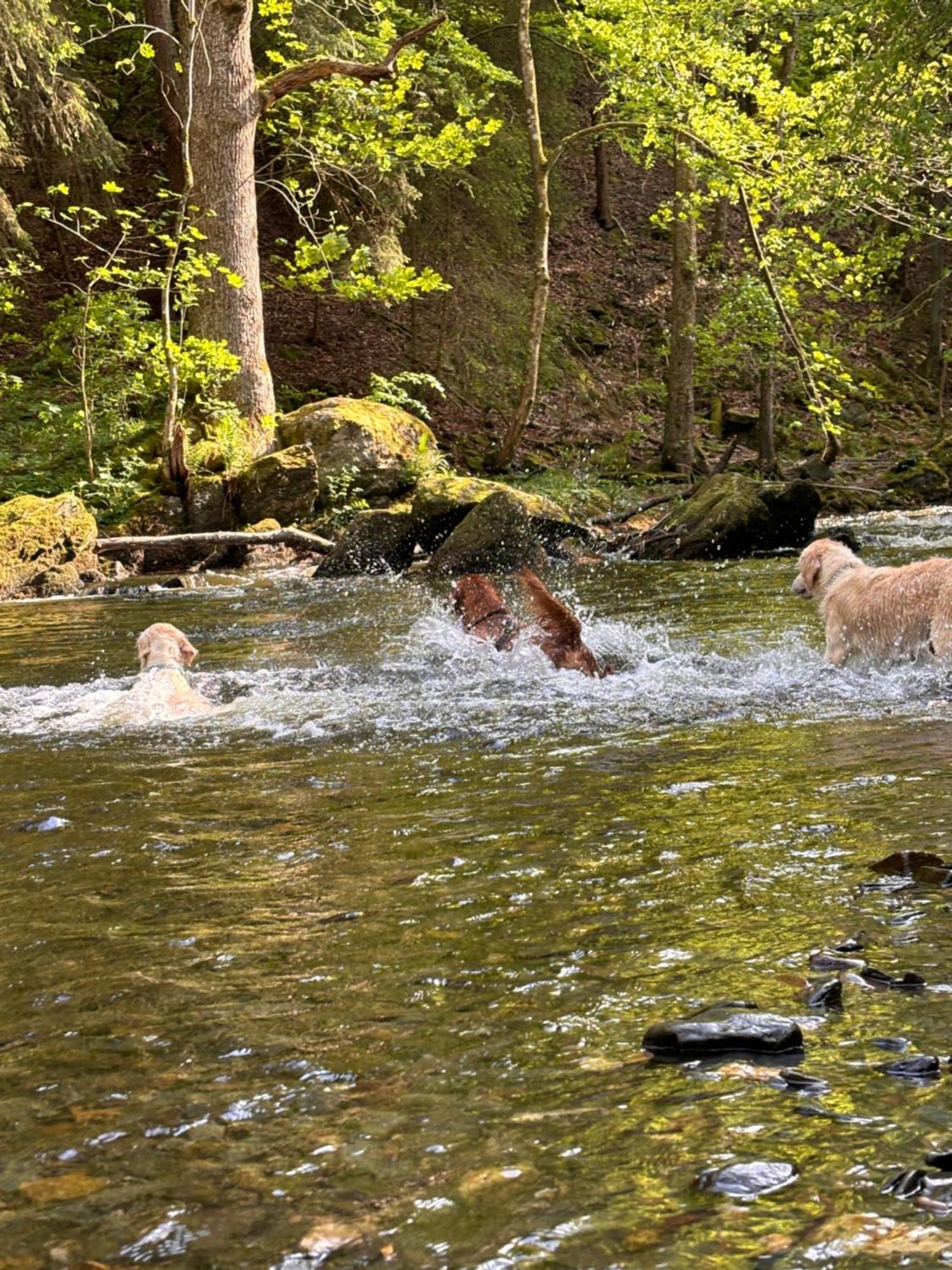 Plaetzchen Am Krebsberg Fuer Alle Fae ซิมเมอร์อาท ภายนอก รูปภาพ